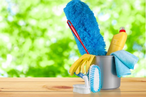 Cleaning professional preparing safety equipment for a deep clean in Haringey