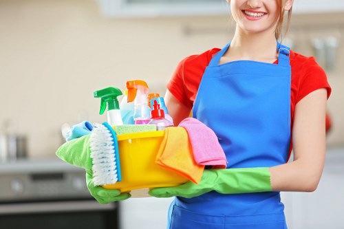 Cleaning company team working in a Haringey home with local property access considerations