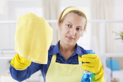 Deep cleaning service for a Haringey home interior