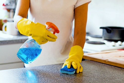 Careful fabric cleaning for dining chairs in a local property