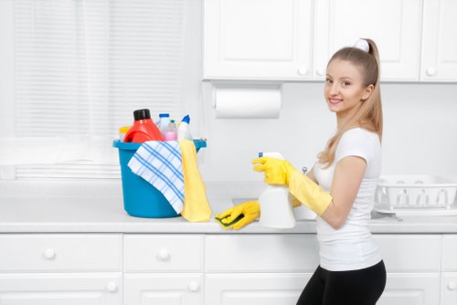 Assessment of a cleaning issue in a property