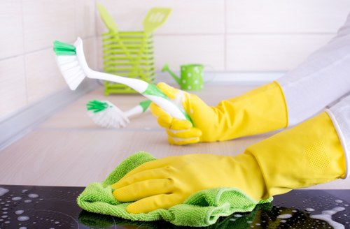 Detailed rug inspection and stain treatment in Haringey