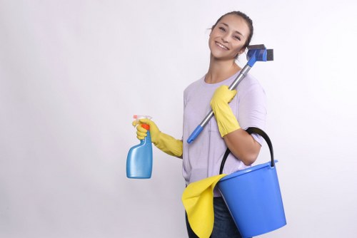 Detailing grout and tile surfaces during floor cleaning