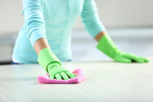 Cleaner treating carpet stains in a local North London home