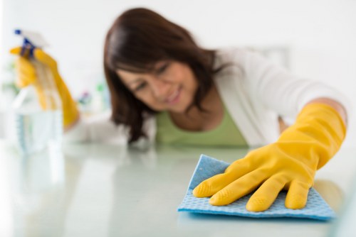 Deep cleaning a carpet in a Haringey flat
