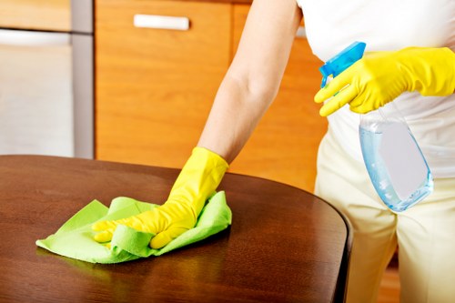 Domestic cleaning for flats and houses across Haringey